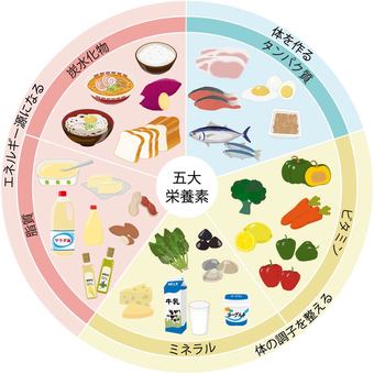 新型栄養失調にご用心