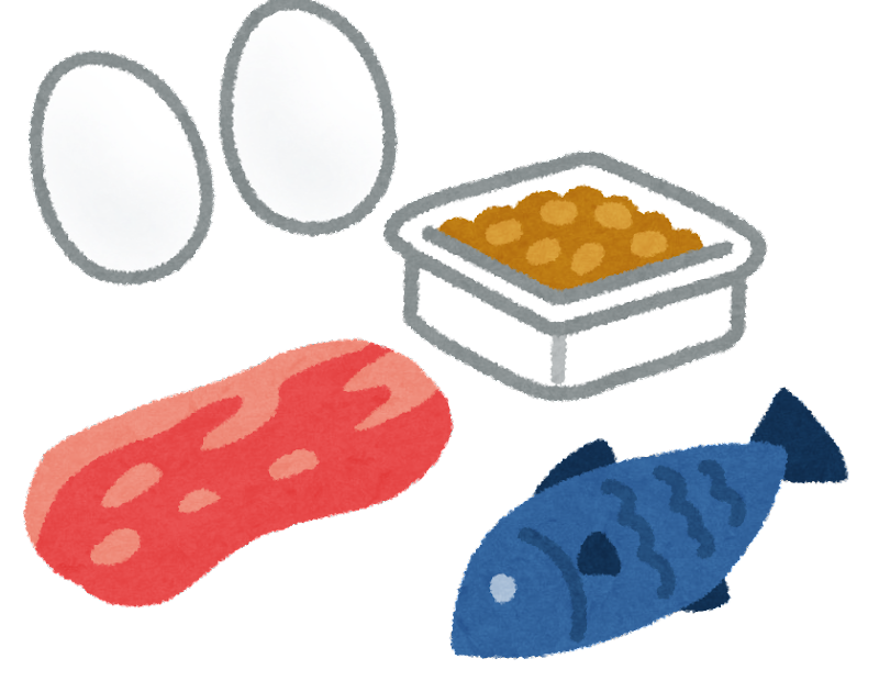 痩せるタンパク質を選ぼう