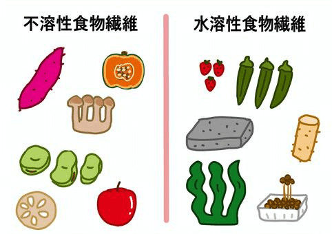 食物繊維のちから
