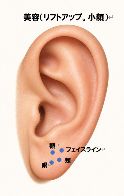 美容（リフトアップ・小顔）で注目される耳つぼの位置（額・眼・頬・フェイスライン）
